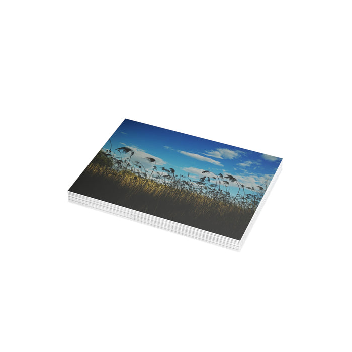 Wetlands 3 - Postcard Bundles