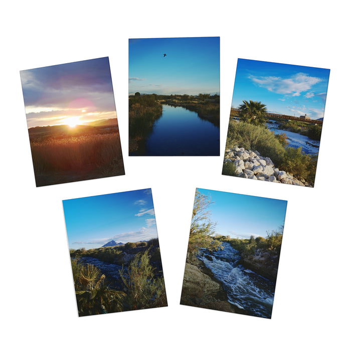 Wetlands Bundle - Multi-Design Greeting Cards (5-Pack)
